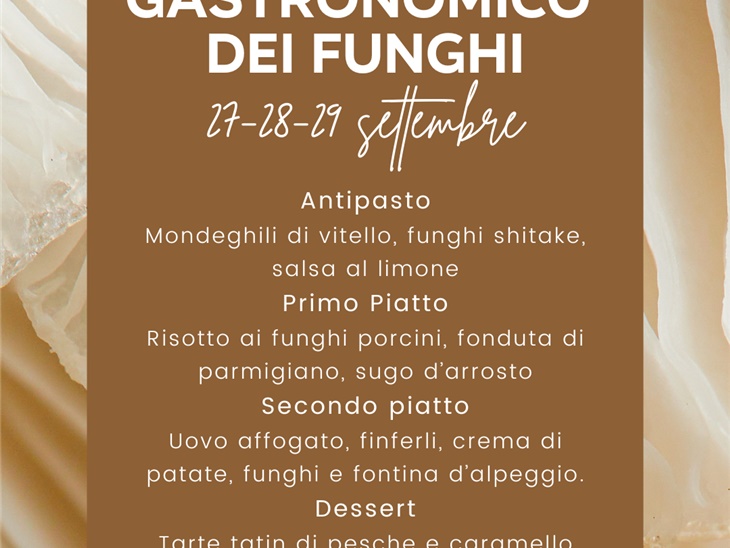 Leggi blog | SUPER PROMO MENU FUNGHI 2024