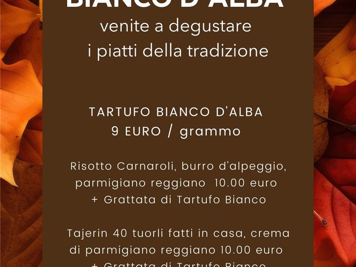 Leggi blog | IL TARTUFO BIANCO D'ALBA